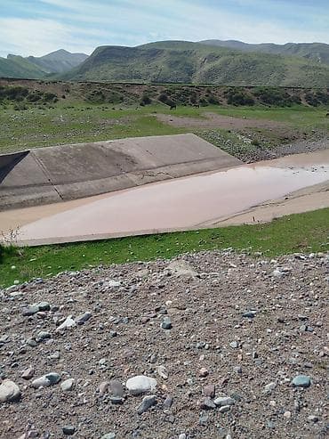 участок дача су: 20 соток, Для сельского хозяйства, Красная книга — 6