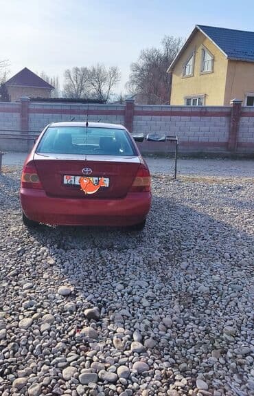 цены на машины бишкек: Toyota Corolla: 2005 г., 1.6 л, Автомат, Бензиновая, Седан — 1