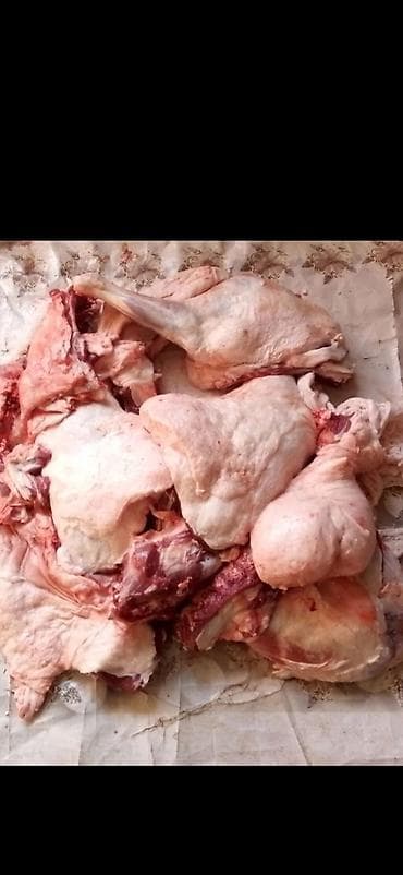 курици: Кой эти козу эти сойулуп баш шыйрагын кошо куйкалап ичегисин жууп — 1