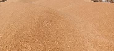 продаю зерно: 3 в 1 ячмен кукуруза пшеницы 26с Отруби улпак кебек рознычный 22 сом — 9