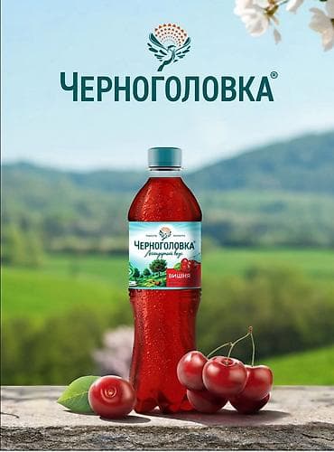 по ленинское: В торговую компанию РустэльТребуется Торговый Представитель в отдел — 2