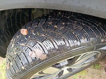 масло авто: Subaru Forester: 2019 г., 2.5 л, Вариатор, Бензин, Кроссовер — 5