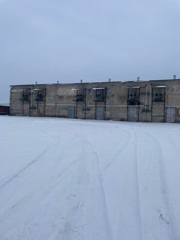 продаю дом военно антановка: 130 соток, Бизнес үчүн, Кызыл китеп, Техпаспорт — 10