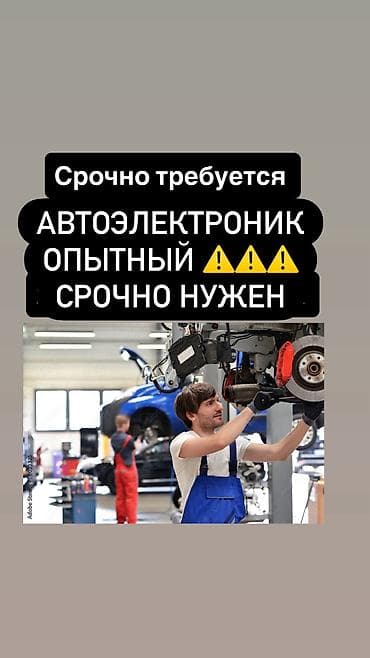 электрик для авто: Автоэлектрик срочно 🚨 нужен оплата каждый день — 1