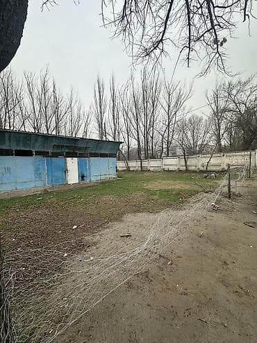 с орок: 7 соток Бизнес үчүн — 3