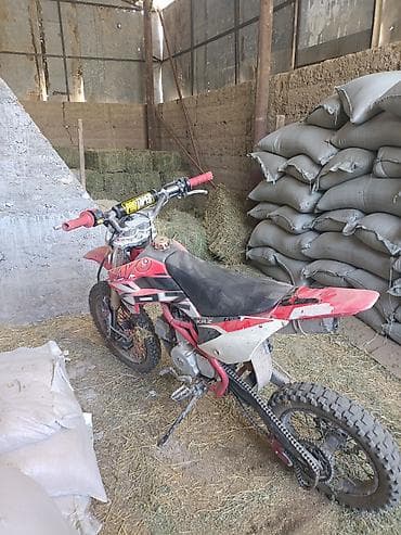 дордой мото: Питбайк/кроссовый мотоцикл MXF KRZ (80–125 см³) - Формат: легкий — 1