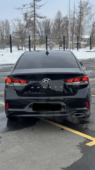 sonata dn8: Hyundai Sonata: 2018 г., 2 л, Автомат, Газ, Седан — 4