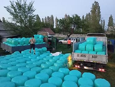 цветной принтер 3 в 1: ЗИЛ бычок сатылат вариант карайбыз абалы жакшы 6 донголок масла матор — 4