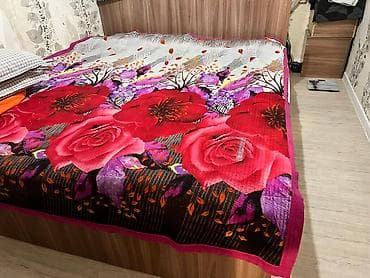 sofa bed: Двуспальная кровать, Б/у, С матрасом, длина - 200 см — 1