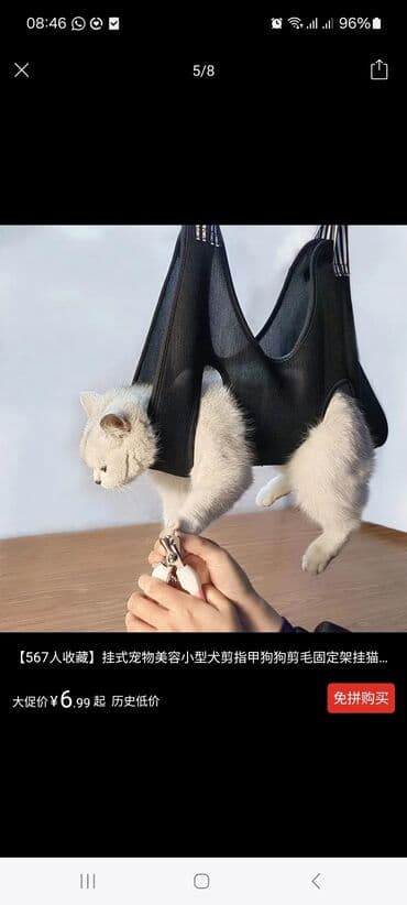 акустические системы qitech колонка в виде собак: Зоотовары — 1