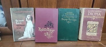 cd disk: Книги,подписные издания,техническая литература цена одной книги — 10