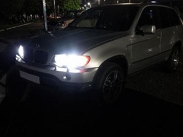 простой: BMW X5: 2002 г., 3 л, Автомат, Дизель, Кроссовер — 3