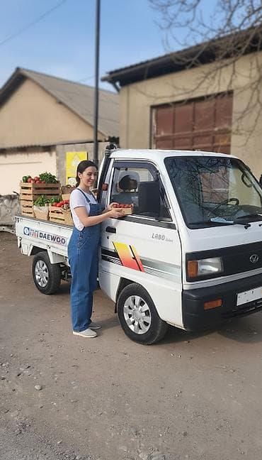 mitsubishi dingo: Легкий грузовик, Daewoo, Стандарт — 1