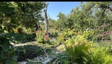 участок долевого строительства: 5 соток, Для строительства, Красная книга — 4