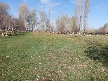 участка сатылат: 50 соток, Айыл чарба үчүн, Кызыл китеп — 4