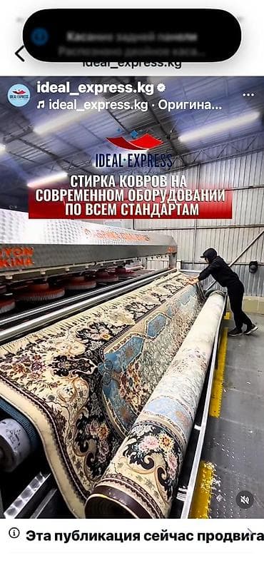 стрижка туи: Стирка ковров, | Палас, Ковер, Бесплатная доставка — 1