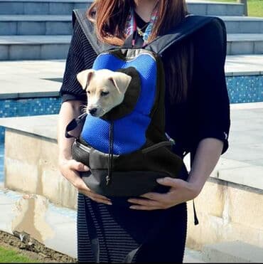 купить сумку переноску для кота: Зоотовары. животные. Переноска, рюкзак для животных. в наличии цвет — 2