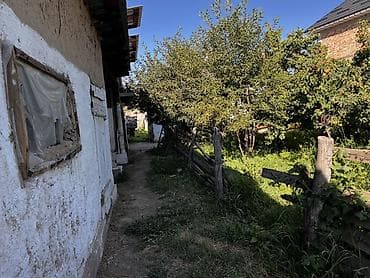 купить пасеку: Продаётся жилой дом с большим приусадебным участком. Характеристики и — 8