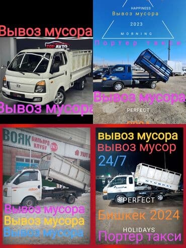 в связи с переездом отдам попугая жако в добрые руки: Портер такси портер такси портер такси Портер такси портер такси — 1