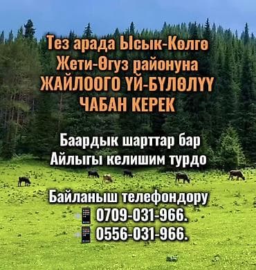 ищу чабан: Требуется Пастух, Оплата: Сдельная — 1