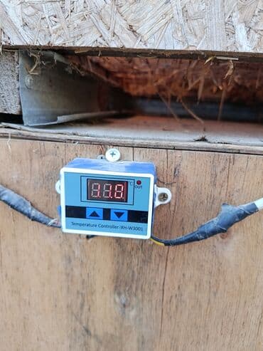 корм токмок: Бурдер сатылат жожо баканга 2 штук — 3