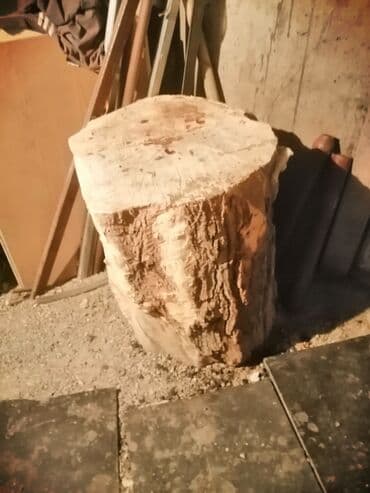 ХДФ: Пень, Пенёк из цельного массива дерева. Для рубки дров, итд - Крупный — 4