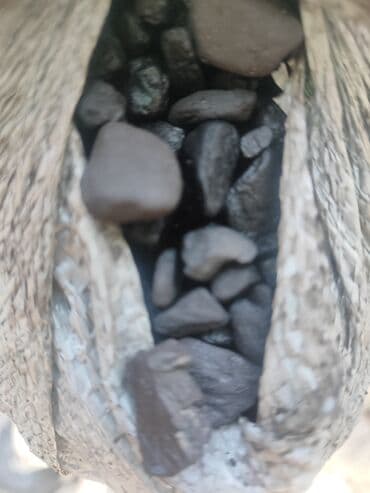 пожарная сигнализация цена в бишкеке: Уголь орешки 
тецовский
мишок 200сом — 3