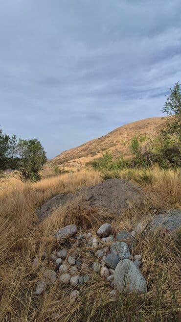 гостевые дома на иссык куле: 5 соток, Для строительства, Красная книга — 1