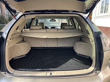 bmw x5 2009: Lexus RX: 2006 г., 3.3 л, Автомат, Бензин, Кроссовер — 10