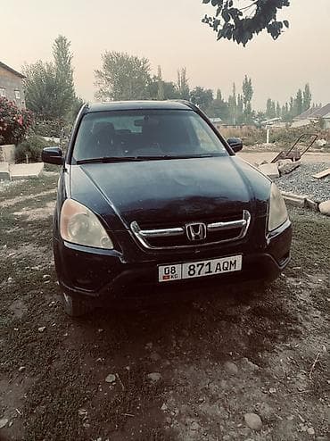 коврики срв: Honda CR-V: 2003 г., 2.4 л, Автомат, Газ, Кроссовер — 6