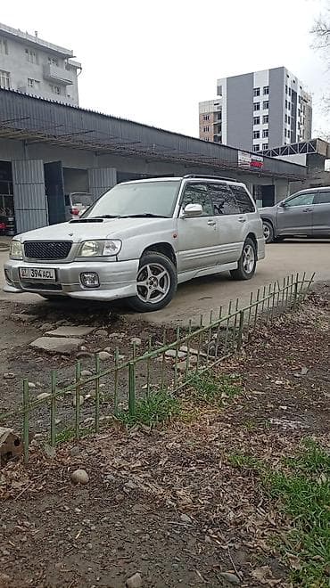 багажник аутбек: Subaru Forester: 2000 г., 2 л, Автомат, Бензин, Универсал — 3