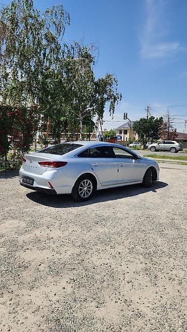 сетка от солнца: Hyundai Sonata: 2019 г., 2 л, Автомат, Газ, Седан — 4