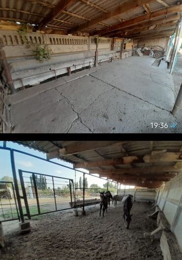 дом ваено антоновка: Үй, 32 кв. м, 4 бөлмө, Менчик ээси, Эски ремонт — 17