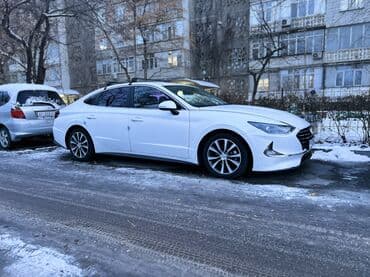 муравей мотороллер купить новый: Hyundai Sonata: 2020 г., 2 л, Автомат, Газ, Седан — 1