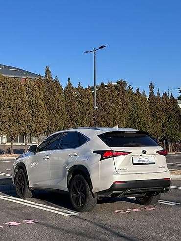 автом: Lexus NX: 2020 г., 2 л, Автомат, Бензин, Кроссовер — 4