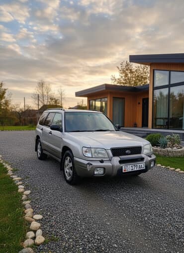 цветная пленка на авто бишкек: Subaru Forester: 2002 г., 2 л, Механика, Бензиновая, Внедорожник — 1