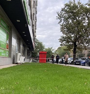 Газон: СЕЕМ ГАЗОН ПОД КЛЮЧ!!! очистка территории от сорняков, камней, мусора — 5