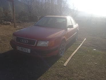 эшик б у: Audi 100: 1992 г., 1.8 л, Кол менен иштөөчү, Бензин, Седан — 3