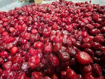 продаю чайники: Замороженная вишня с косточкой и без косточек . Описание: - Цельные — 4