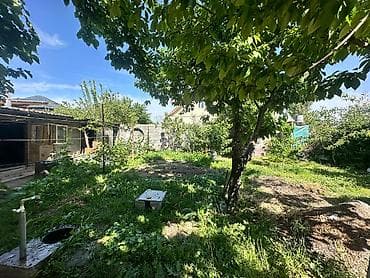 участки в ак ордо: 5 соток, Договор купли-продажи — 2