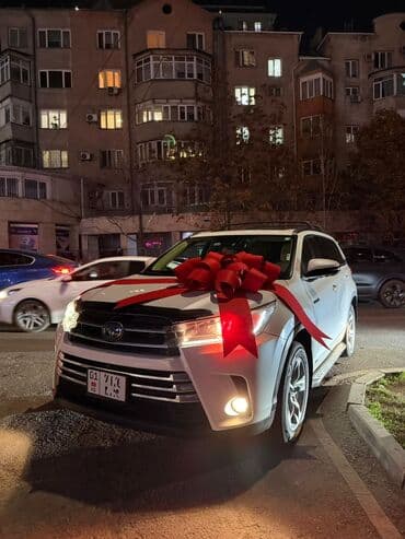 крепления для ковровых дорожек на лестнице: Сдаю в аренду и продаю праздничные банты на капот авто! Украсьте свою — 6