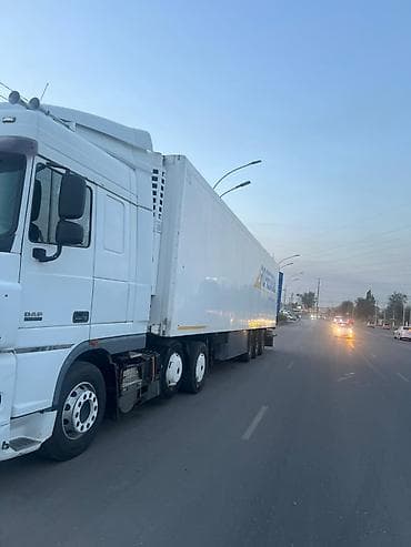 спиринтер реф: Тягач, DAF, 2009 г., Холодильник, рефрижератор — 3