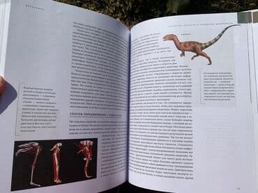 купить книгу кладбище домашних животных: Книга «Динозавры» Новая, покупали в Букингем, нигде не порвано, не — 6