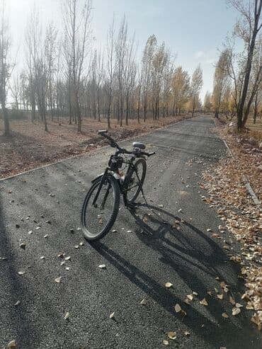 велосипеды фетбайк: Горный велосипед, Сталь — 3