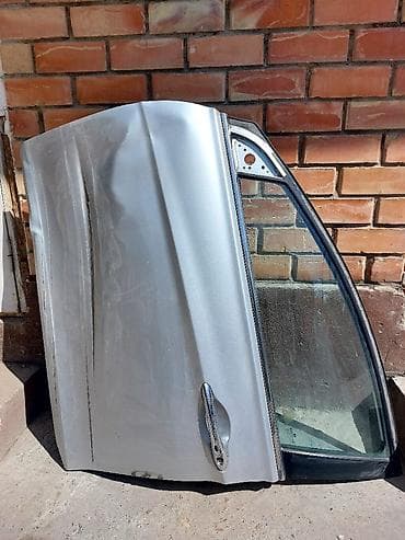 shadow line: Дверь Передняя правая Hyundai — 1