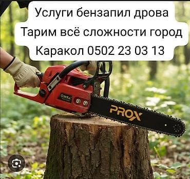 Услуги бензопилой — распил и заготовка дров. Выполняем работы любой