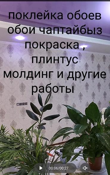 Отделочные работы: Поклейка обоев, Демонтаж старых обоев | Текстильные обои, Виниловые обои, Флизелиновые обои Больше 6 лет опыта — 5