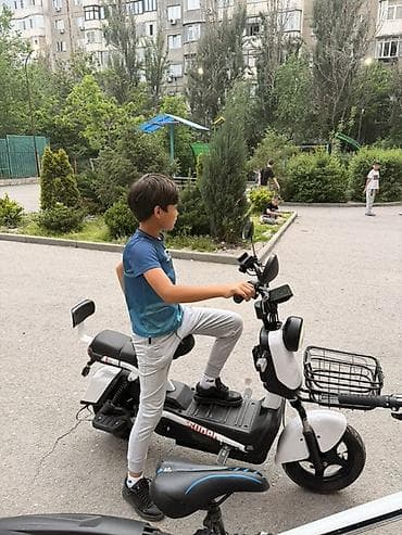 Электроскутер (городской/семейный формат) - Компактный электроскутер