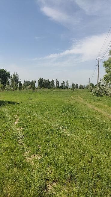 70 соток Для сельского хозяйства at lalafo.kg 70 соток Для сельского хозяйства