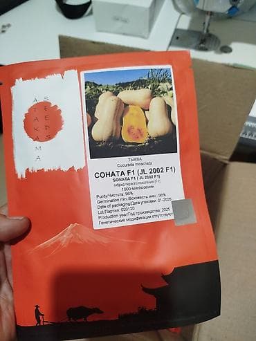 Семена тыквы мускатной Sonata F1 (Cucurbita moschata), гибрид первого — 2